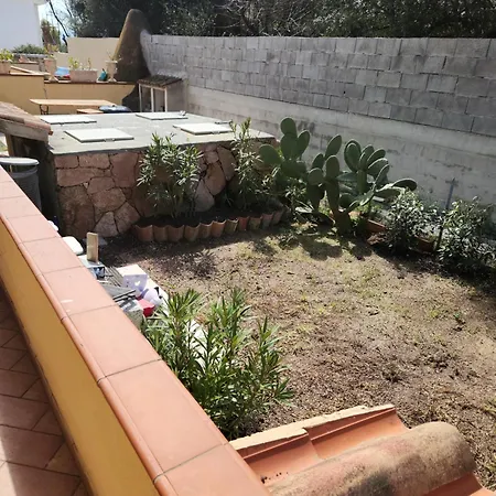 דירה Casa Conchiglia Pittulongu אולביה